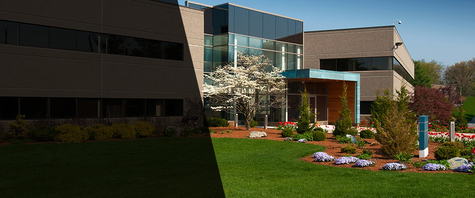 Lombard Landscapers