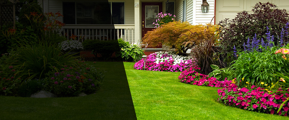 Lombard Landscapers