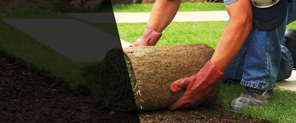 Lombard Landscapers